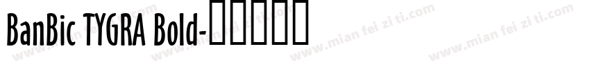 BanBic TYGRA Bold字体转换